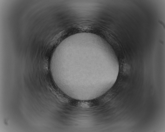 X0000101210710200807181418