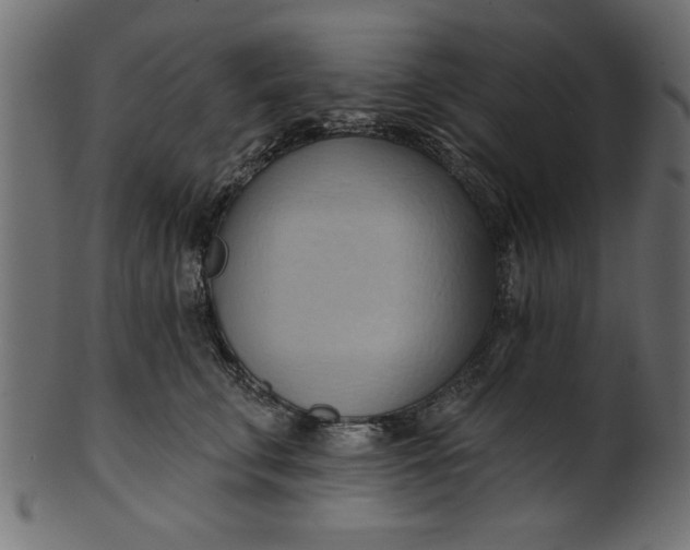 X0000101210711200807181418