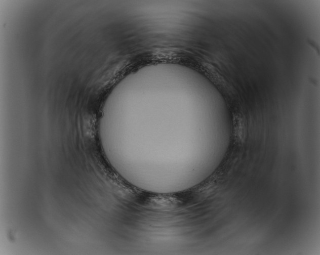 X0000101210712200807181418