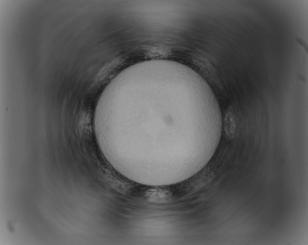 X0000101210714200807181418