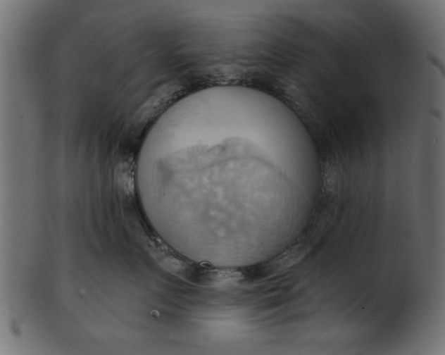 X0000101210719200807181418