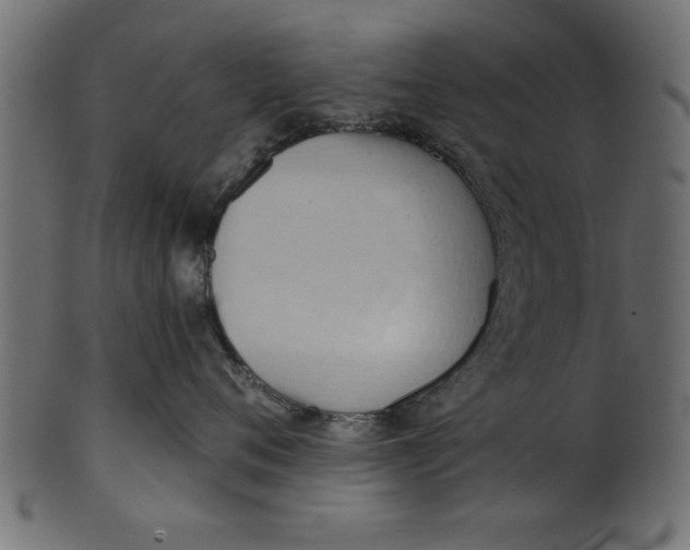 X0000101210720200807181418