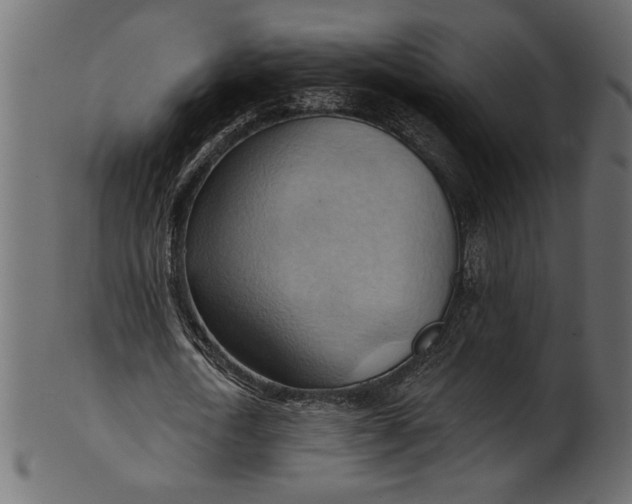 X0000101210722200807181417