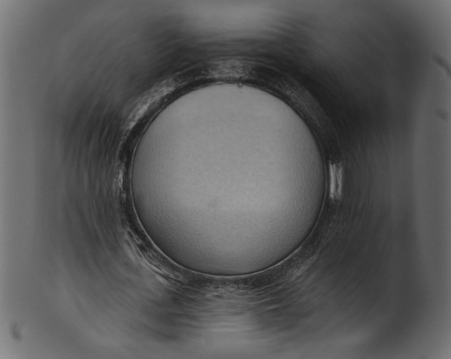 X0000101210723200807181417