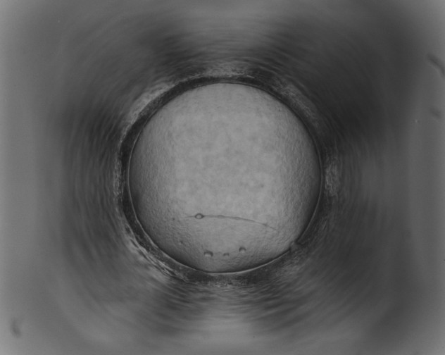 X0000101210724200807181417