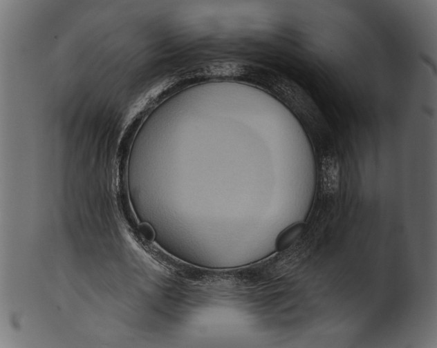 X0000101210726200807181417