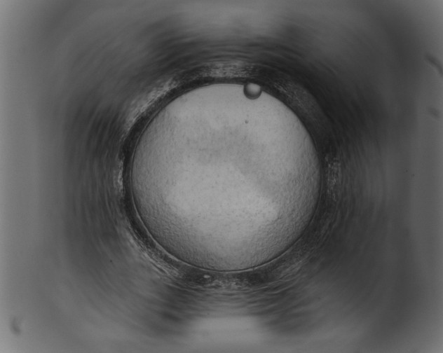 X0000101210727200807181417