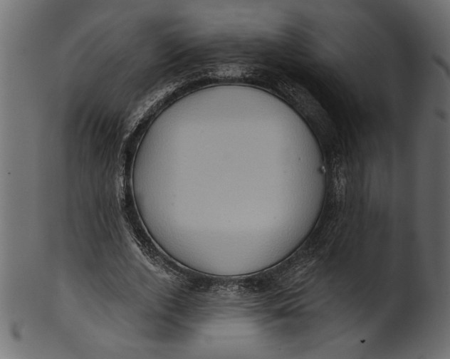 X0000101210728200807181417