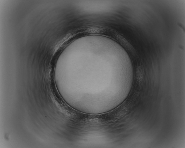 X0000101210730200807181417