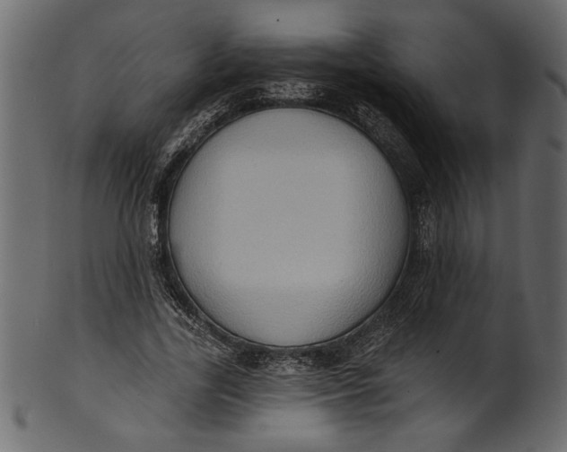 X0000101210731200807181417