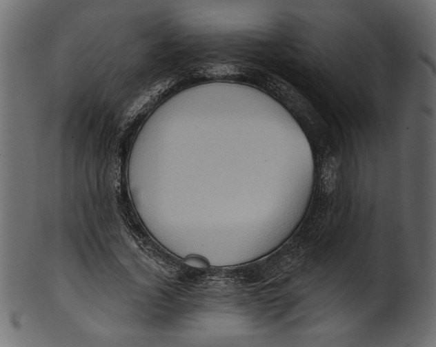 X0000101210732200807181417