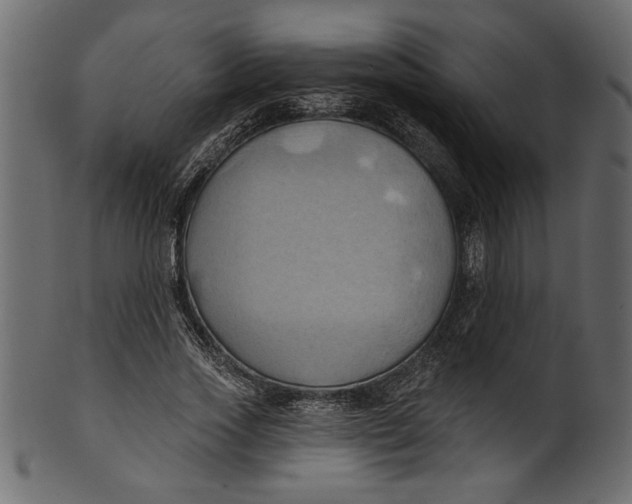 X0000101210733200807181417