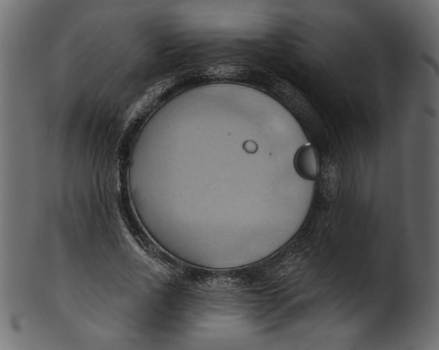 X0000101210734200807181418