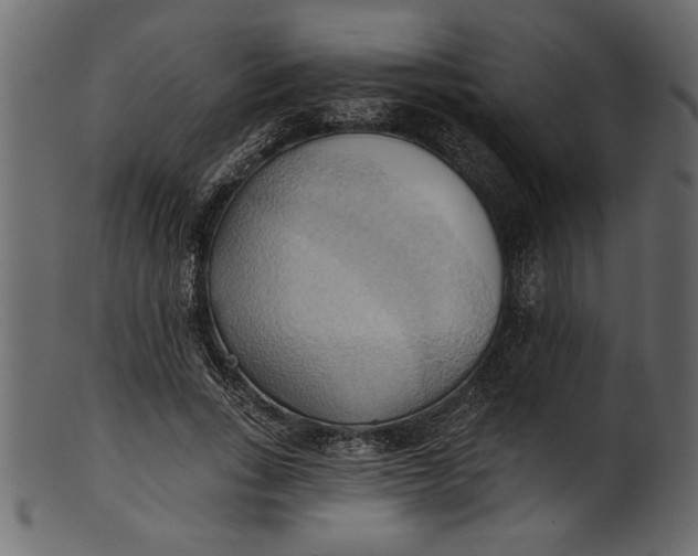 X0000101210735200807181418