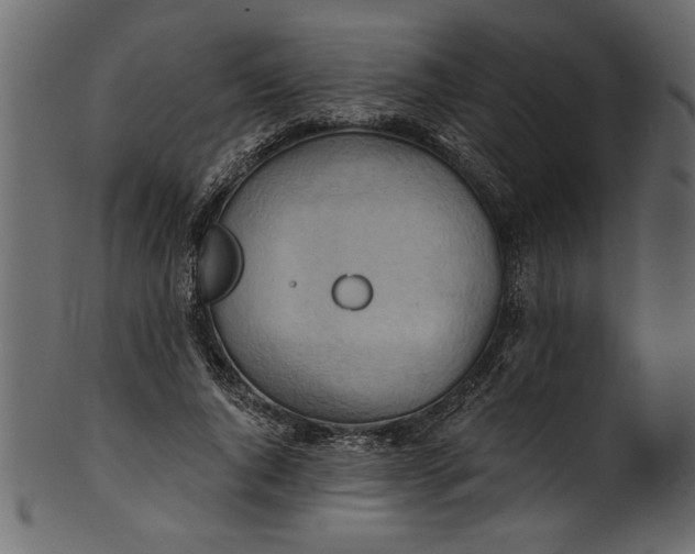 X0000101210736200807181418