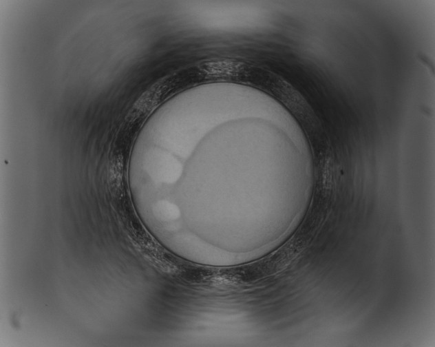 X0000101210737200807181418