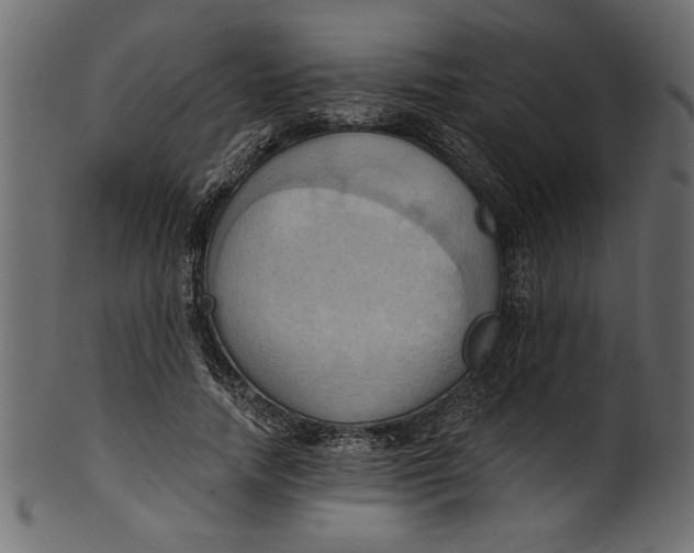 X0000101210738200807181418