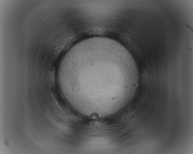 X0000101210739200807181418