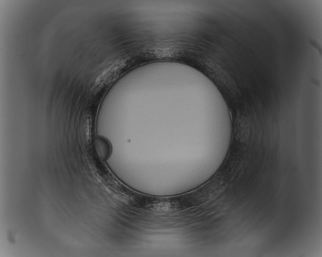 X0000101210740200807181418