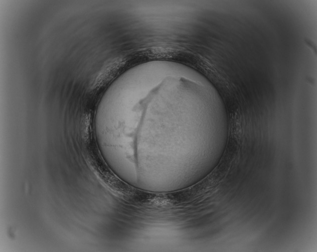 X0000101210742200807181418