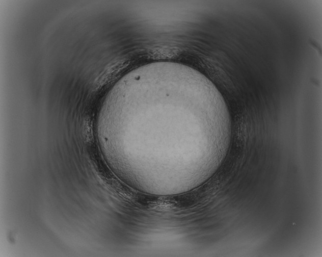 X0000101210743200807181418