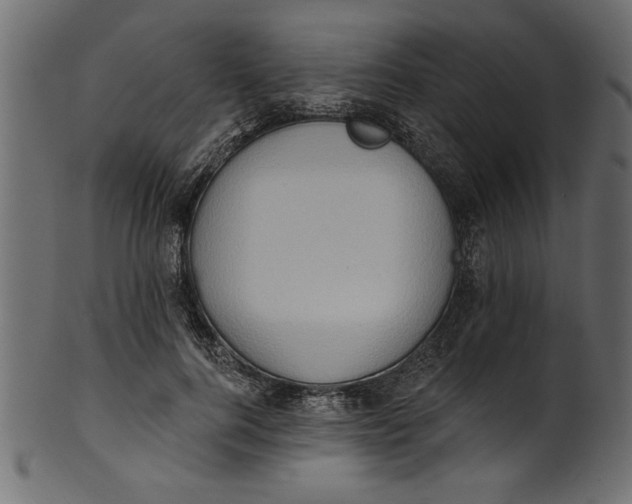 X0000101210744200807181418