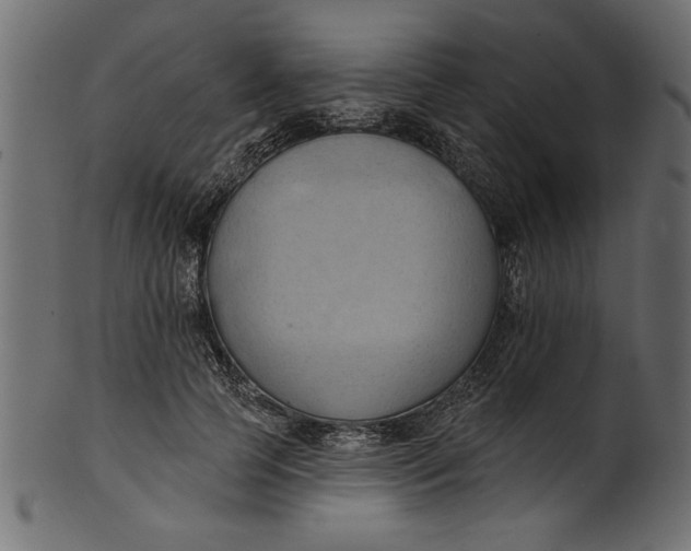 X0000101210745200807181418