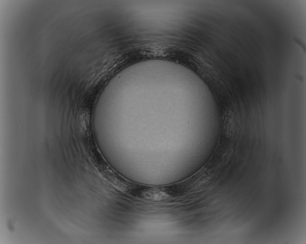 X0000101210747200807181418