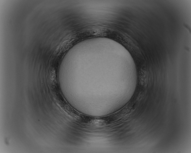 X0000101210748200807181418