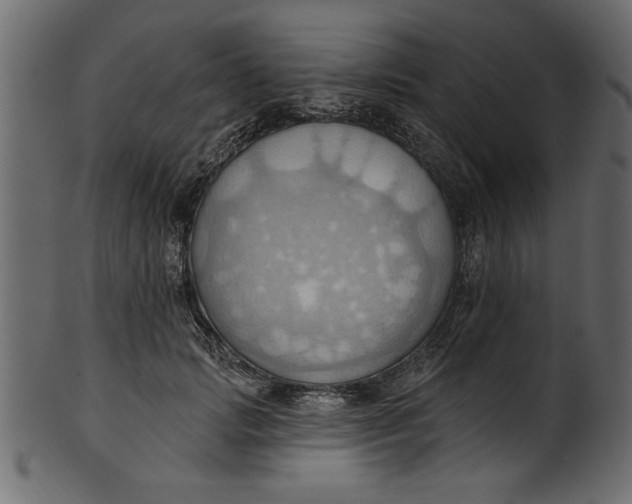 X0000101210749200807181418