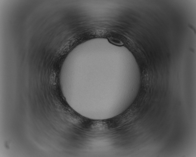 X0000101210750200807181418