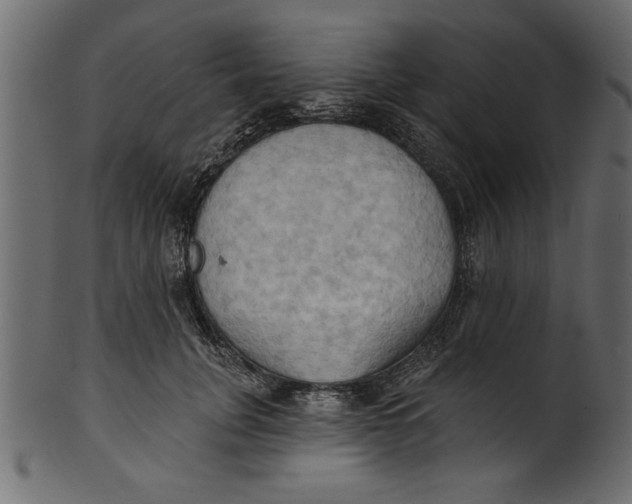 X0000101210751200807181418