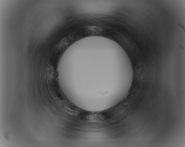 X0000101210752200807181418