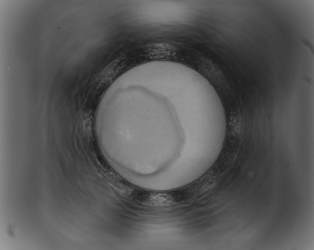 X0000101210753200807181418