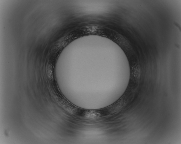 X0000101210754200807181418