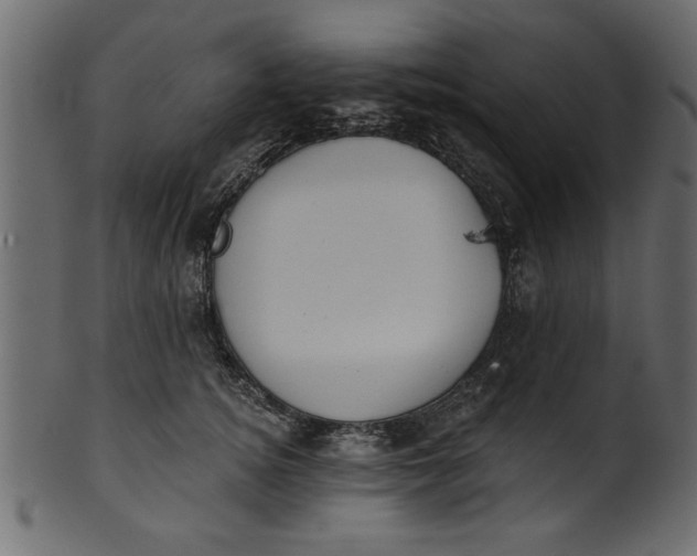 X0000101210756200807181418