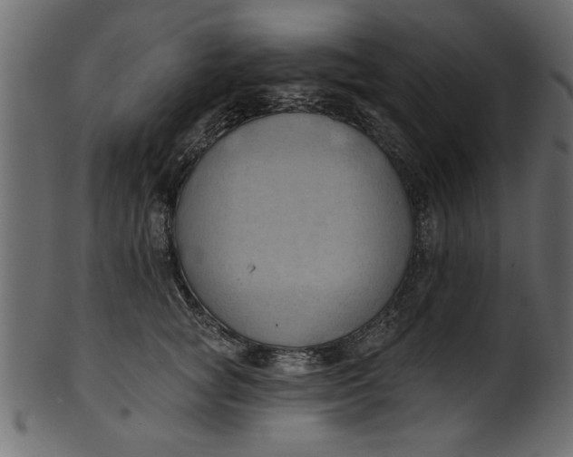 X0000101210757200807181418