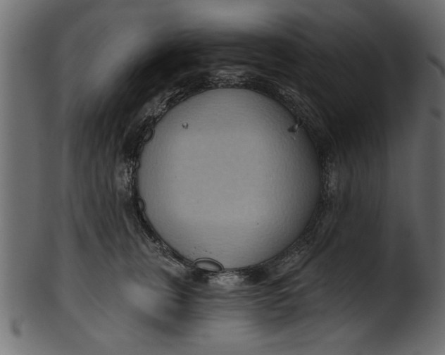 X0000101210759200807181418