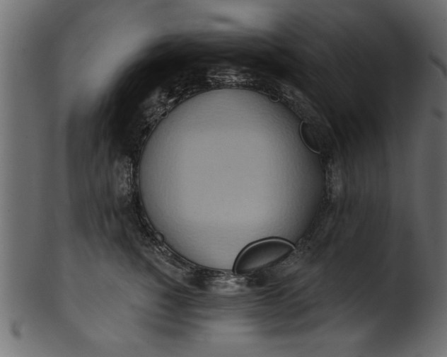 X0000101210760200807181418