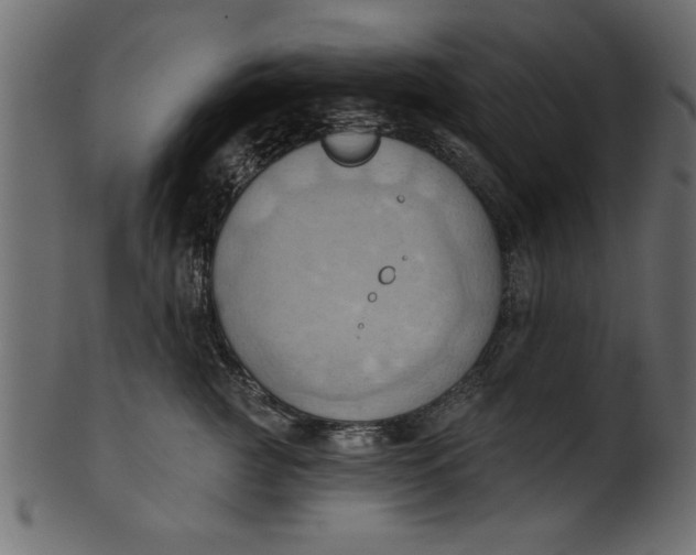 X0000101210761200807181418