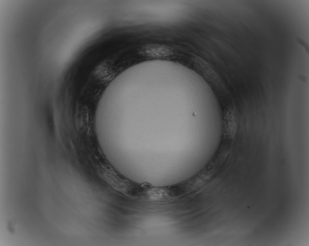 X0000101210762200807181418