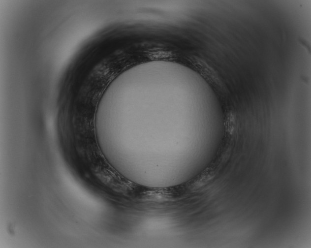 X0000101210763200807181418