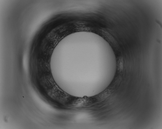 X0000101210764200807181418