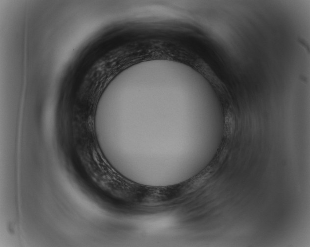 X0000101210765200807181418