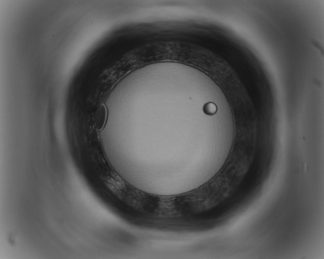 X0000101210766200807181418