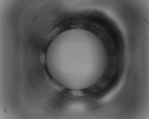 X0000101210767200807181418