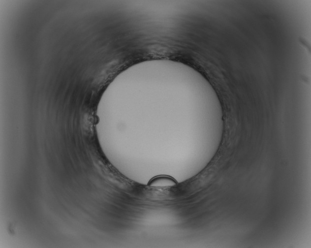 X0000101210768200807181418