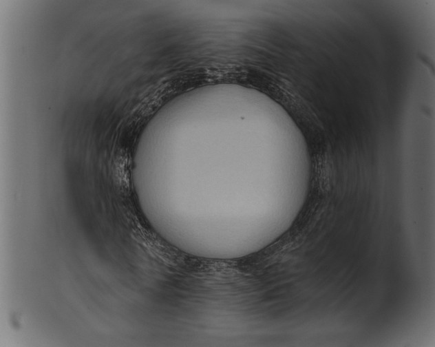 X0000101210770200807181417