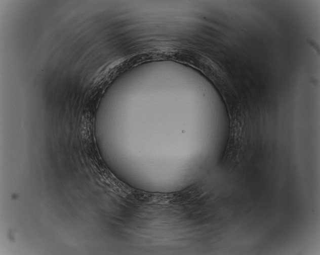 X0000101210773200807181417