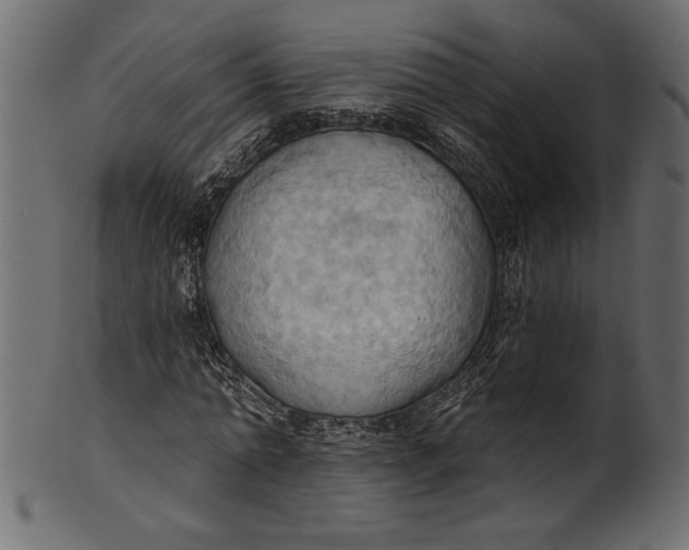 X0000101210774200807181417